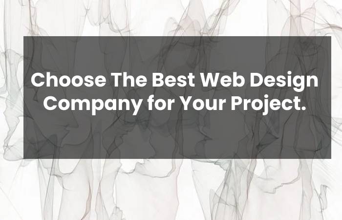 Choose The Best Web Design Company for Your Project.
