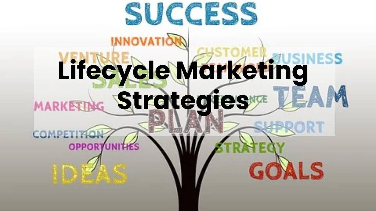 Lifecycle Marketing Strategies