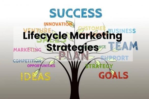 Lifecycle Marketing Strategies