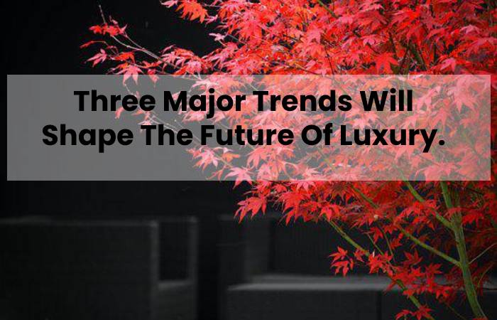 Three Major Trends Will Shape The Future Of Luxury.