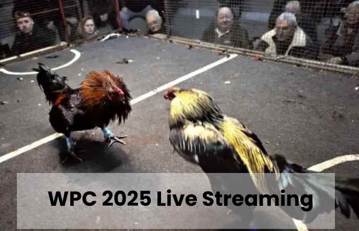 WPC 2025 Live Streaming