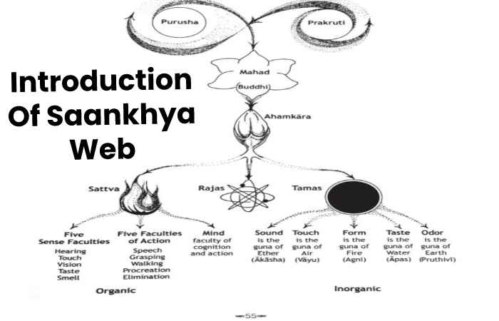 Introduction Of Saankhya Web