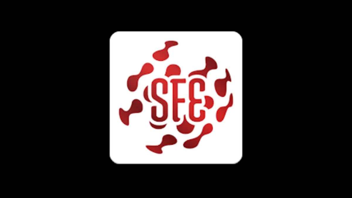 Sanffe Info:  Sales Analysis and www.sansfe.info login