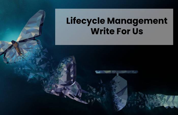 Lifecycle Management Write For Us