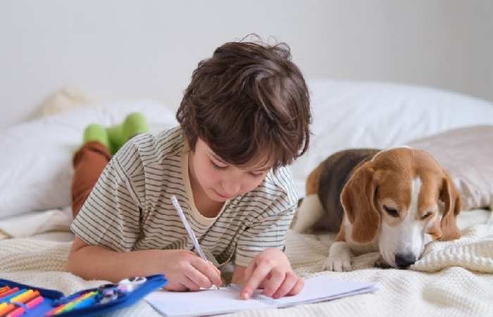 Boys And A Dog Homemaking Homeschooling Tips For Busy Folks