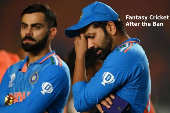 fantasy cricket after the ban